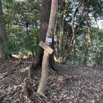 古志の峰に到着。