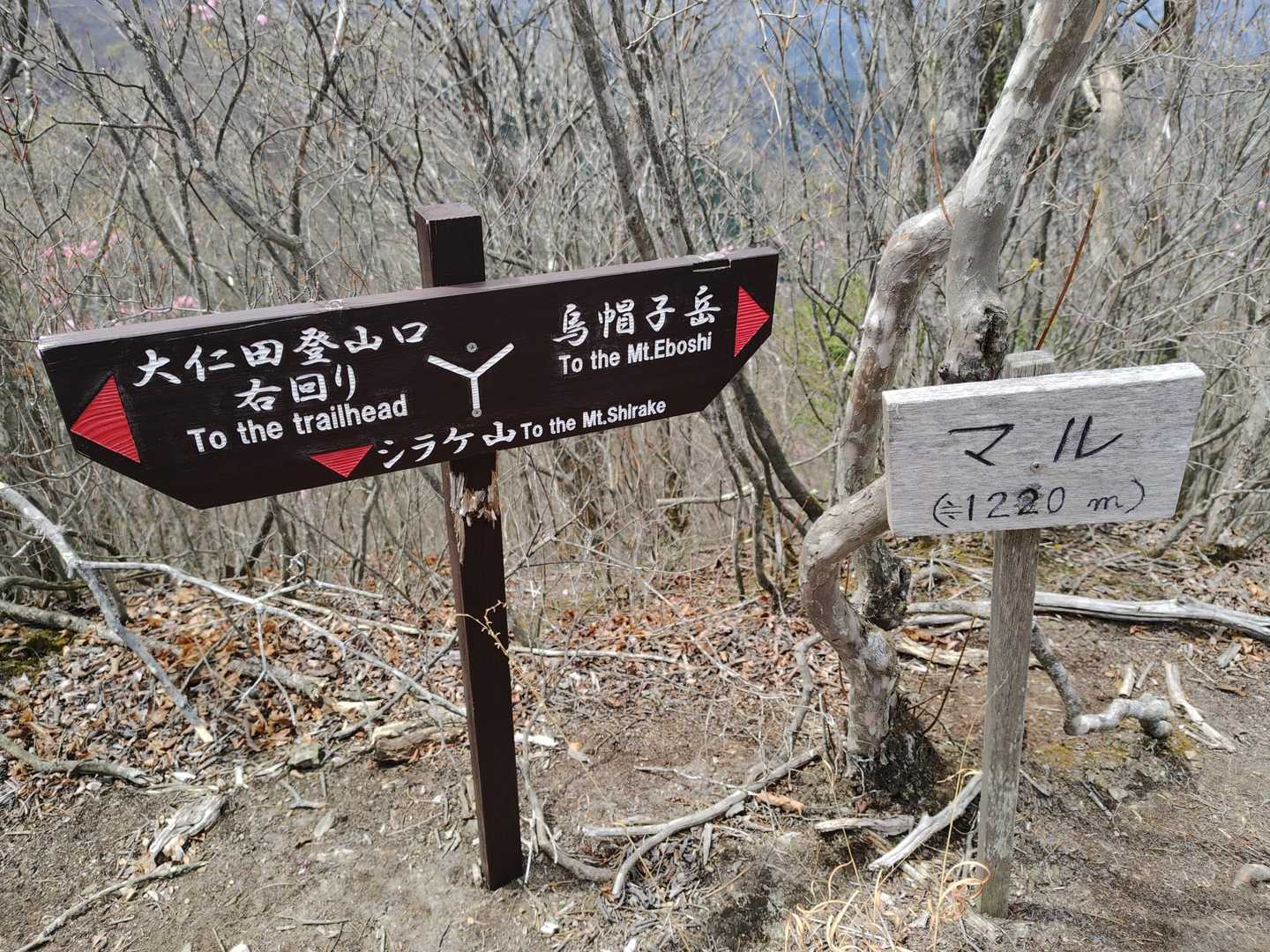 マルの山頂△