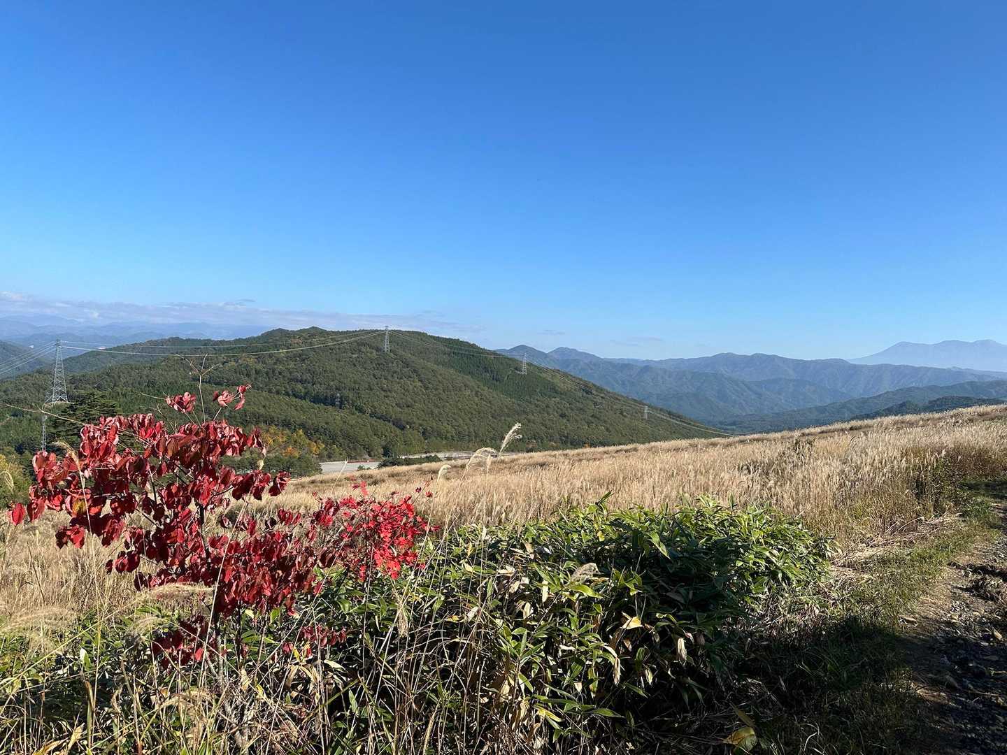 開けて絶景が見れました