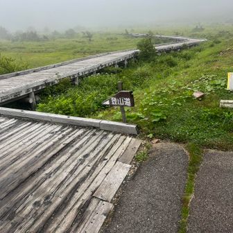 浄土平周辺の登山道は木道続き