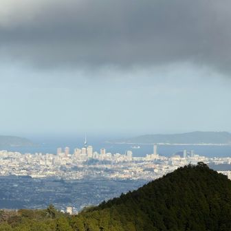 雲、いまにも雨か雪が降りそう。でも暖かいから雨だな