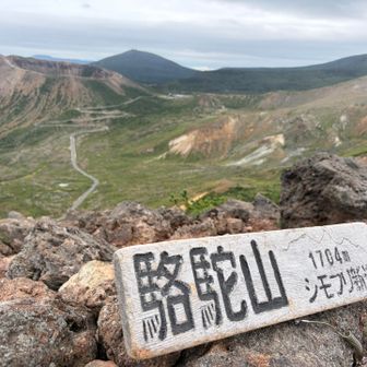 駱駝山