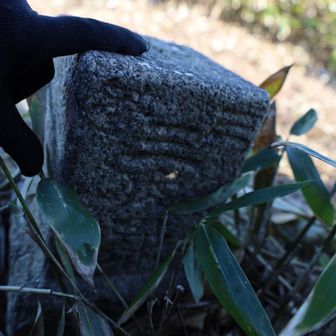 下蒜山三角点
ポチっと