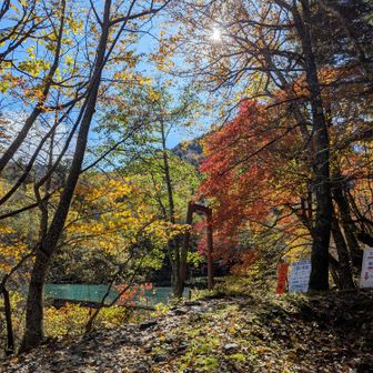 麓は紅葉もまだありますね！