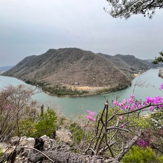 吉井川の曲線美