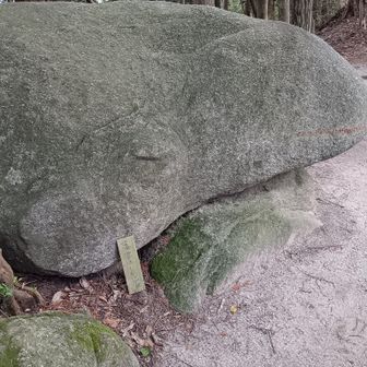 カエル石
