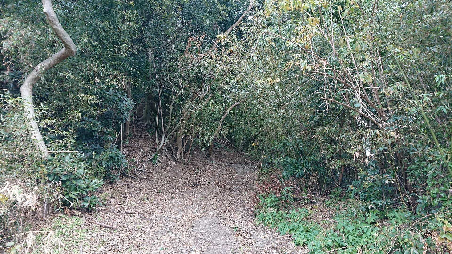 ここから舗装路は終わり、土の道に変わります