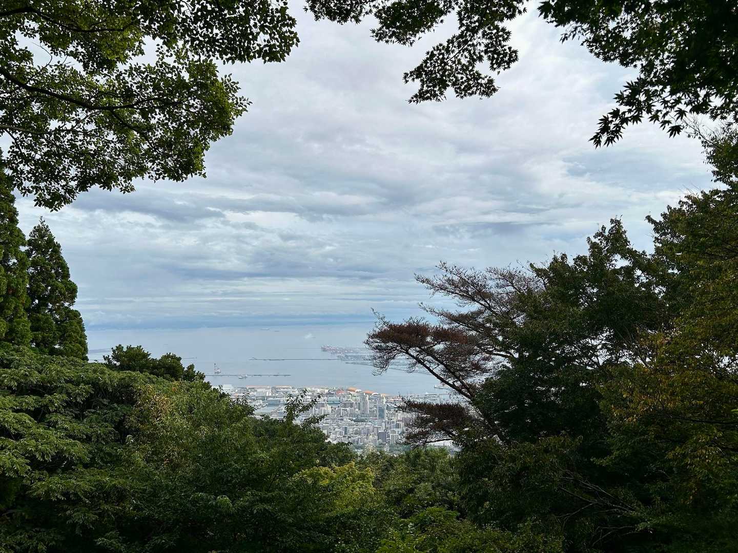 雨上がって景色見えました✨
