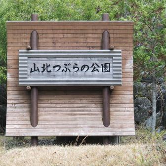 いつも山頂で時間余るので寄り道🎶
