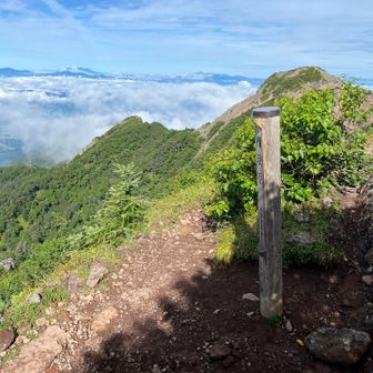 権現岳に着きました⛰️