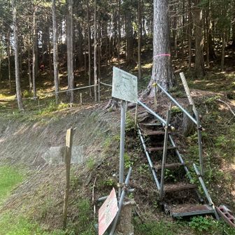 林道を35分ほど歩いてようやく登山口へ。