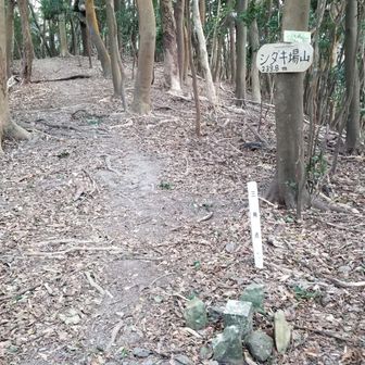 とか何とか考えている内に、あっという間にシダキ場山に到達しました。後は影山迄縦走して下るだけです。