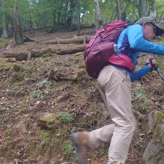 ⚠️ザラザラした地面で滑りやすい。高度感もあって少し怖かった。
下りでは特に注意が必要だろう。
（滑って落ちかけた場面を見かけた）
