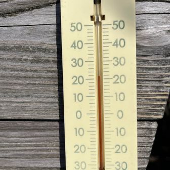 21度⁉︎
ここは日当たりがいいからかな
予報では下界で17度