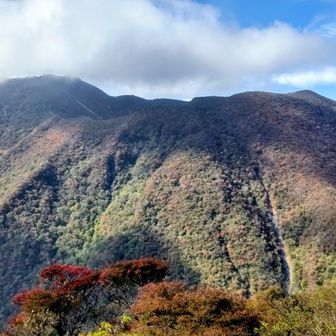 大船山肌も色付いてます