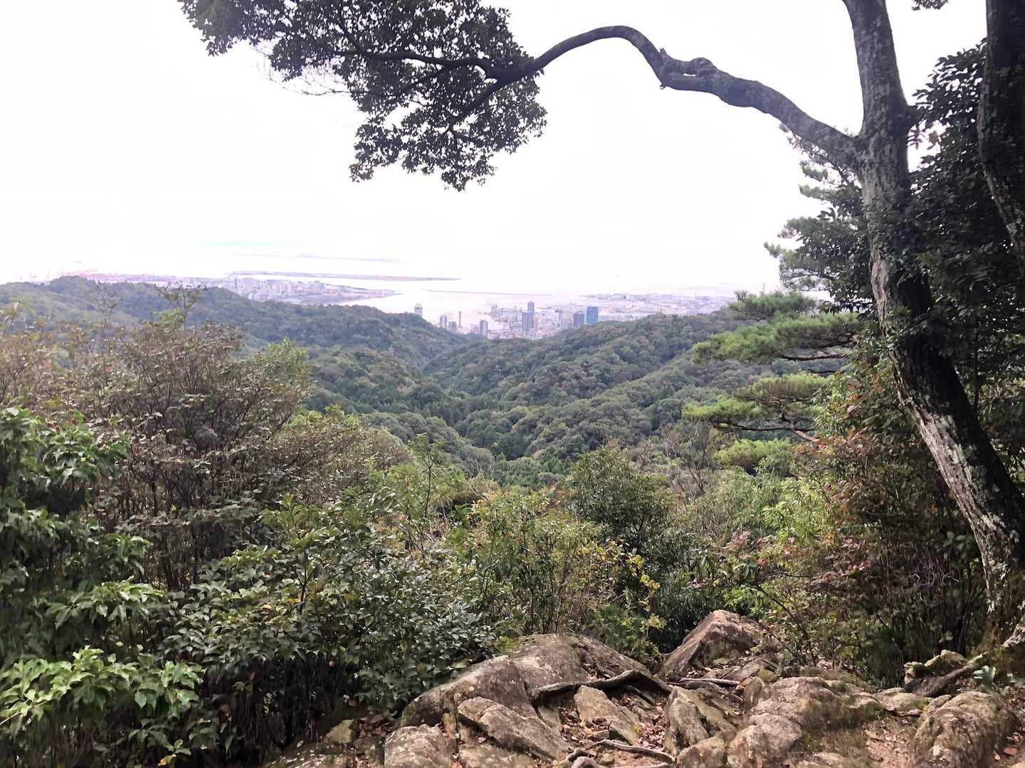 神戸市内を見下ろす