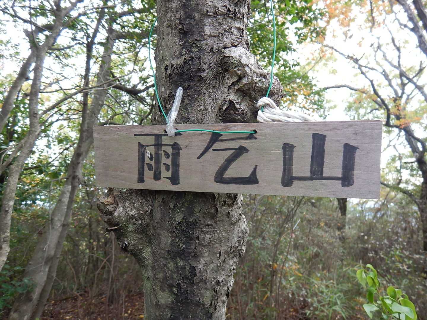 そんなこんなで雨乞山到着しました😆