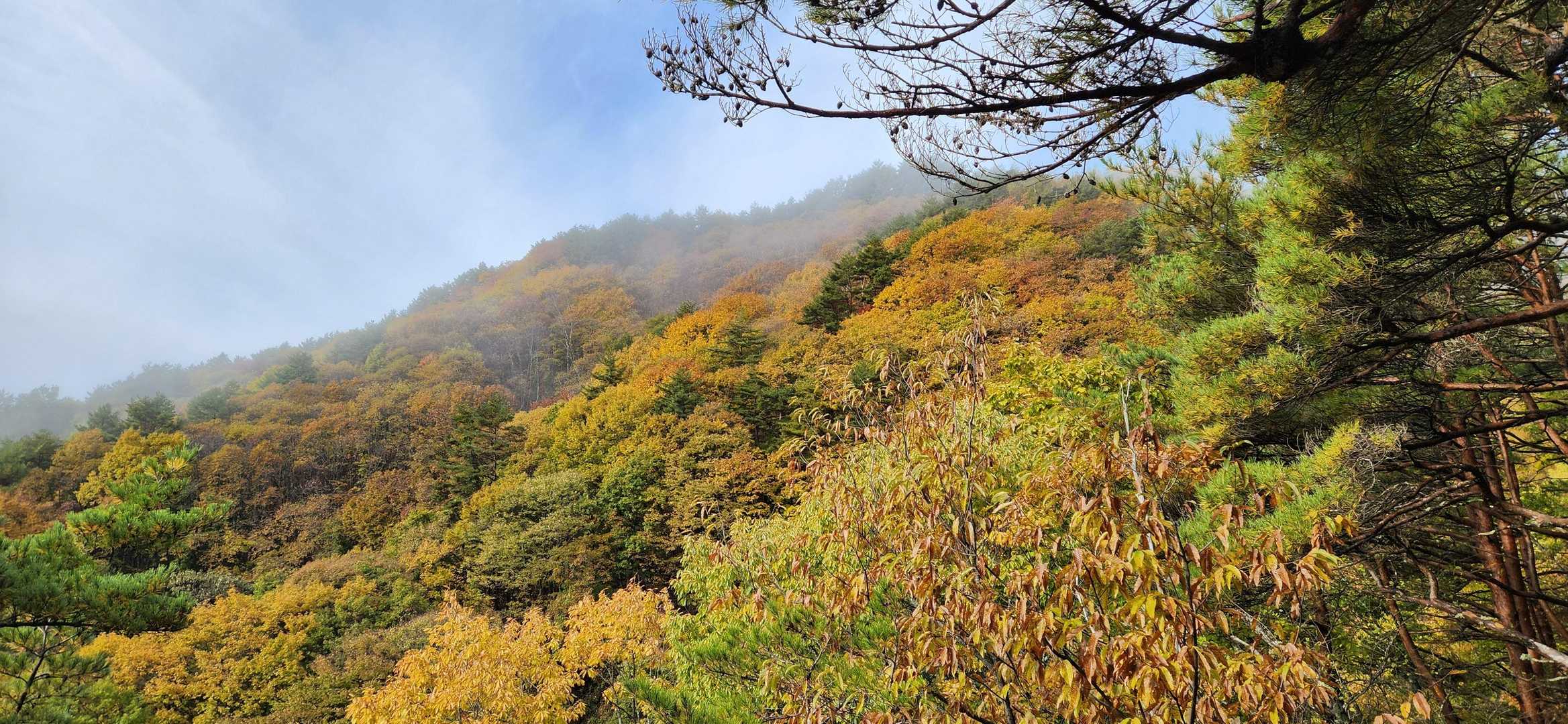 ｡:.ﾟおぉ(*ﾟOﾟ *)ぉぉﾟ.:｡ ﾟ
素晴らしい✨👏

守屋山がめちゃくちゃ綺麗に色付いてますよ😍