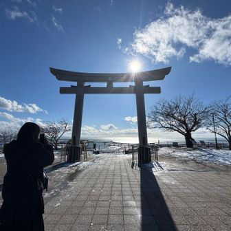 移動してきました