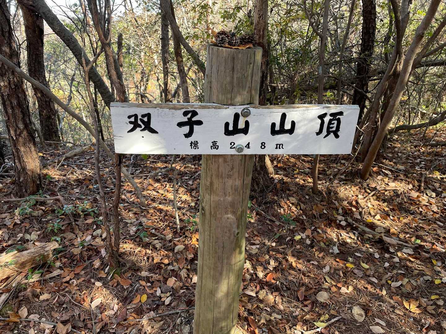 八木山-愛宕山 往復コースの写真