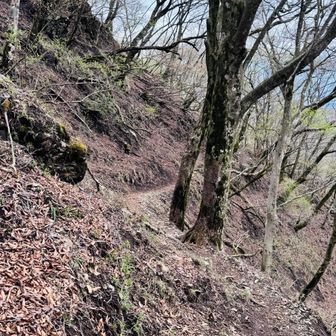 右側は崖の細いトラバース