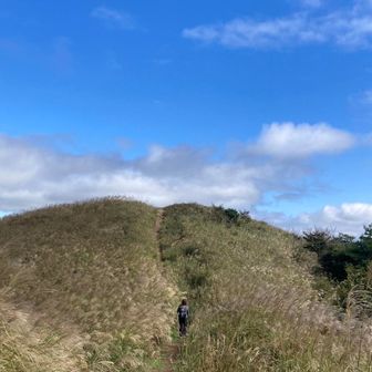 しるばにあひまりー