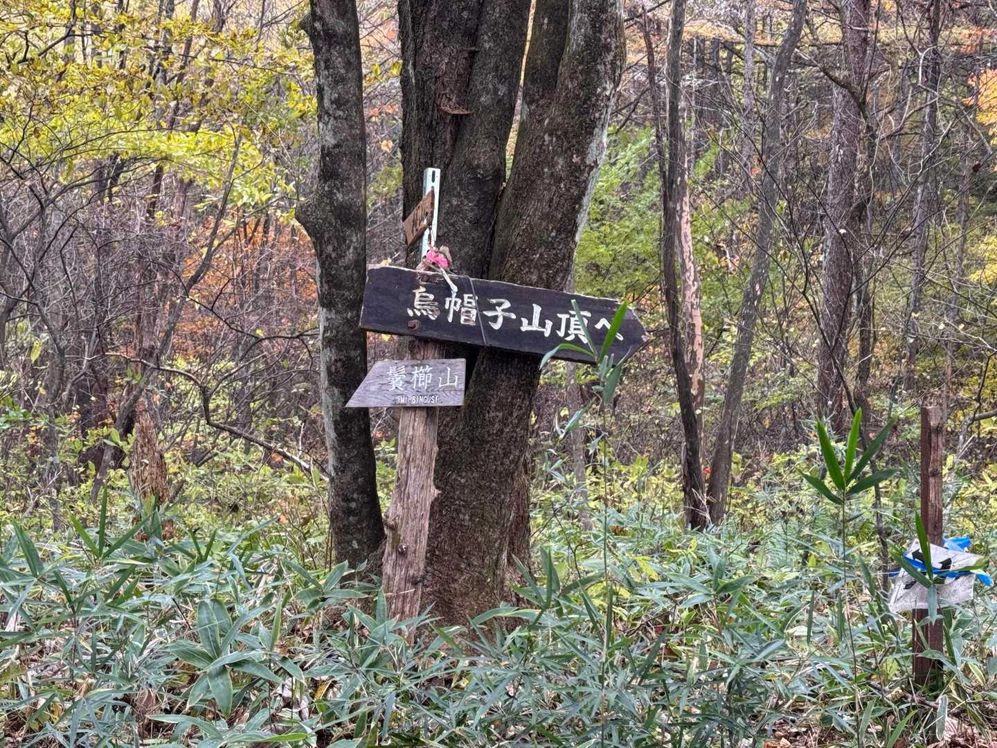 分岐