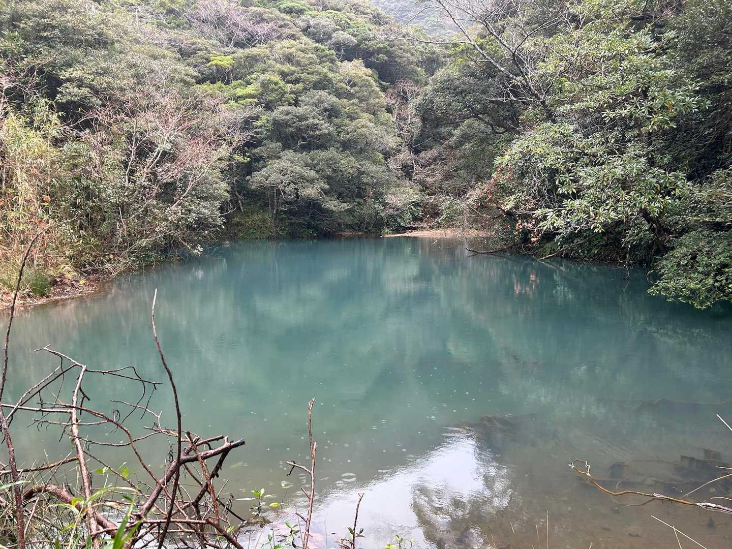 防衛道路登山口〜樫立登山口｜三原山縦走コースの写真
