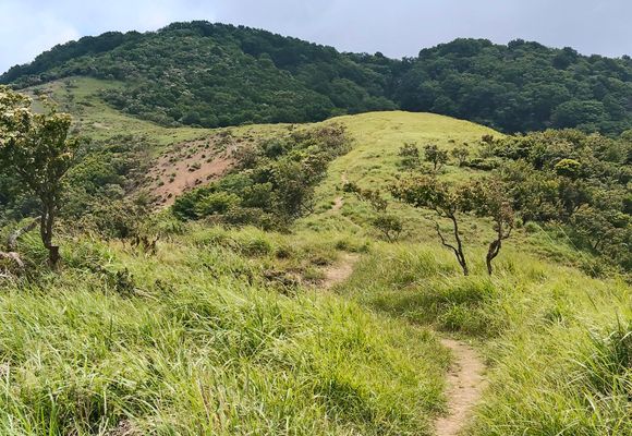 三十三間山（福井・滋賀・842m）| 登山ルート・天気 | YAMAP / ヤマップ