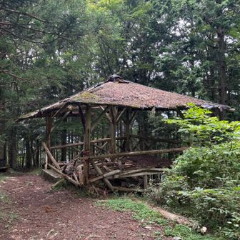 ブッ壊れてるパンキッシュな東屋
新城はアナーキーすぎる