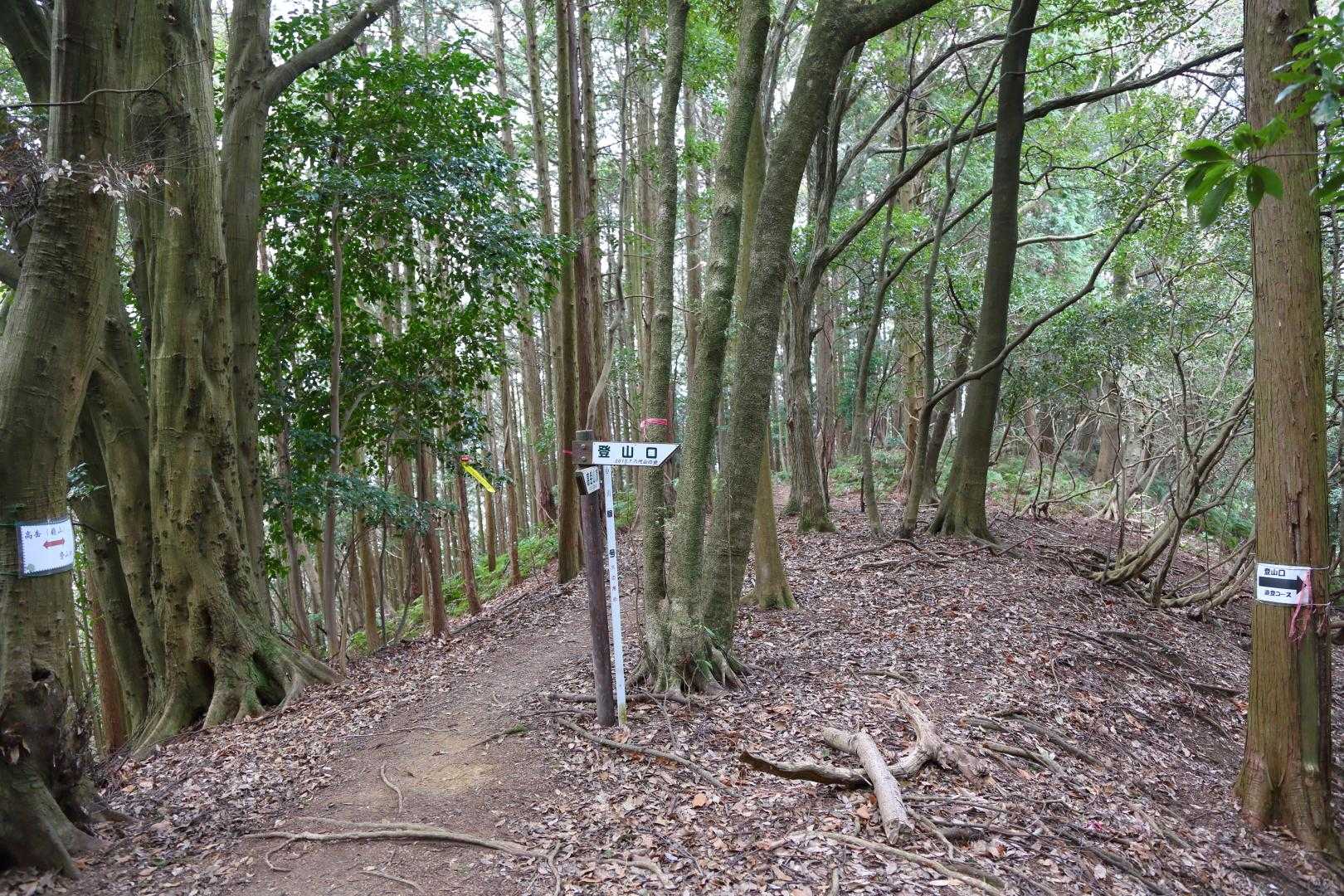 トレラン用のLEDライトが点滅してた