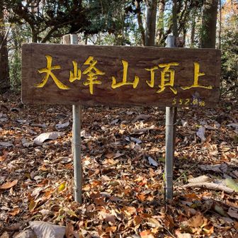 静かな良い山頂。気温、湿度、体への負荷。
そういうバランスが今期No.1。