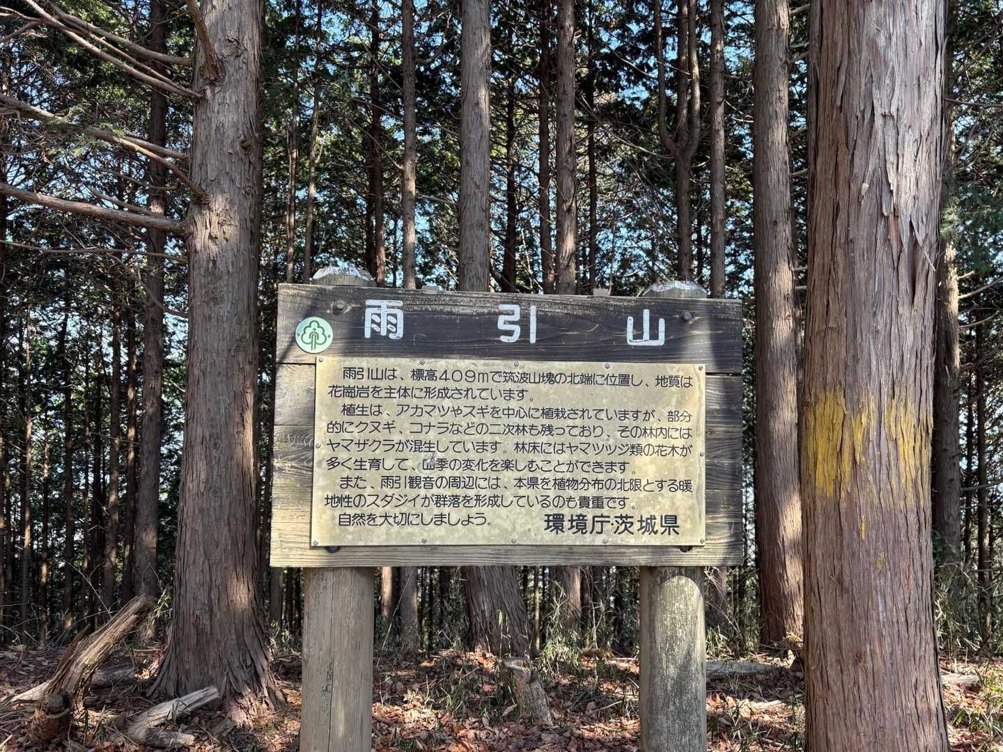 少し急登を登ったらあっという間に雨引山