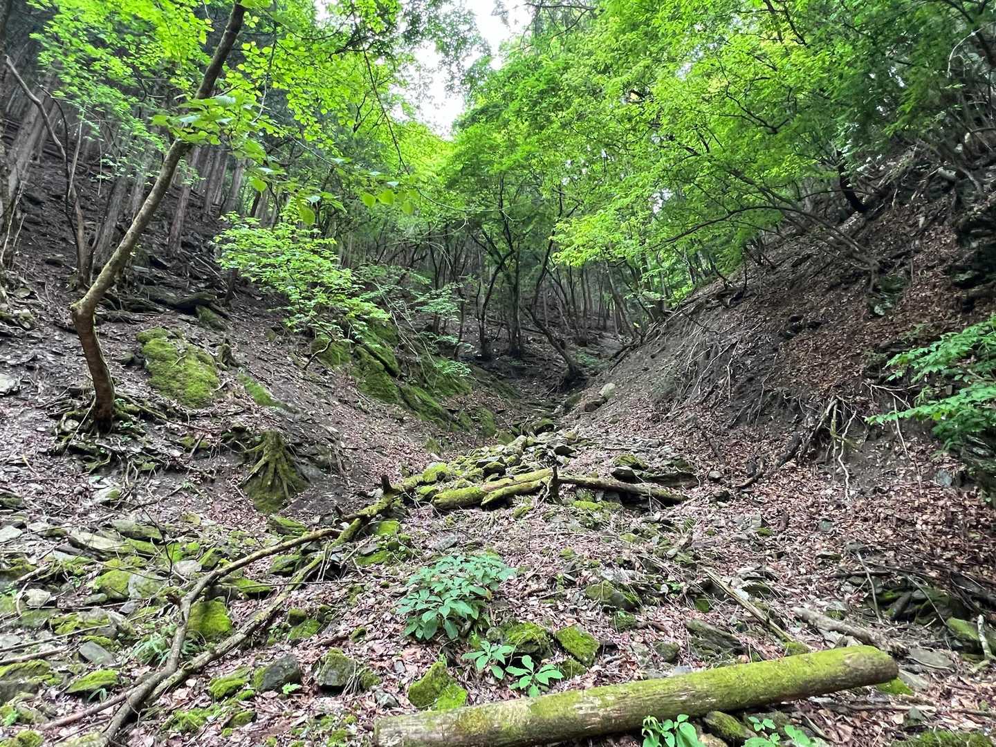 林道をしばらく歩くと、崩落した沢が…この後、似たような崩落箇所が数ヶ所ありました。