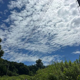 秋雲☁️