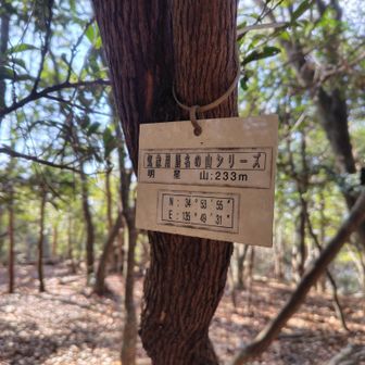 いろいろあるようです