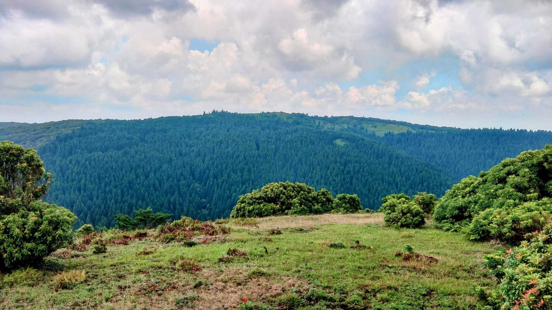 杉山山頂から、段ヶ峰の稜線を望む。