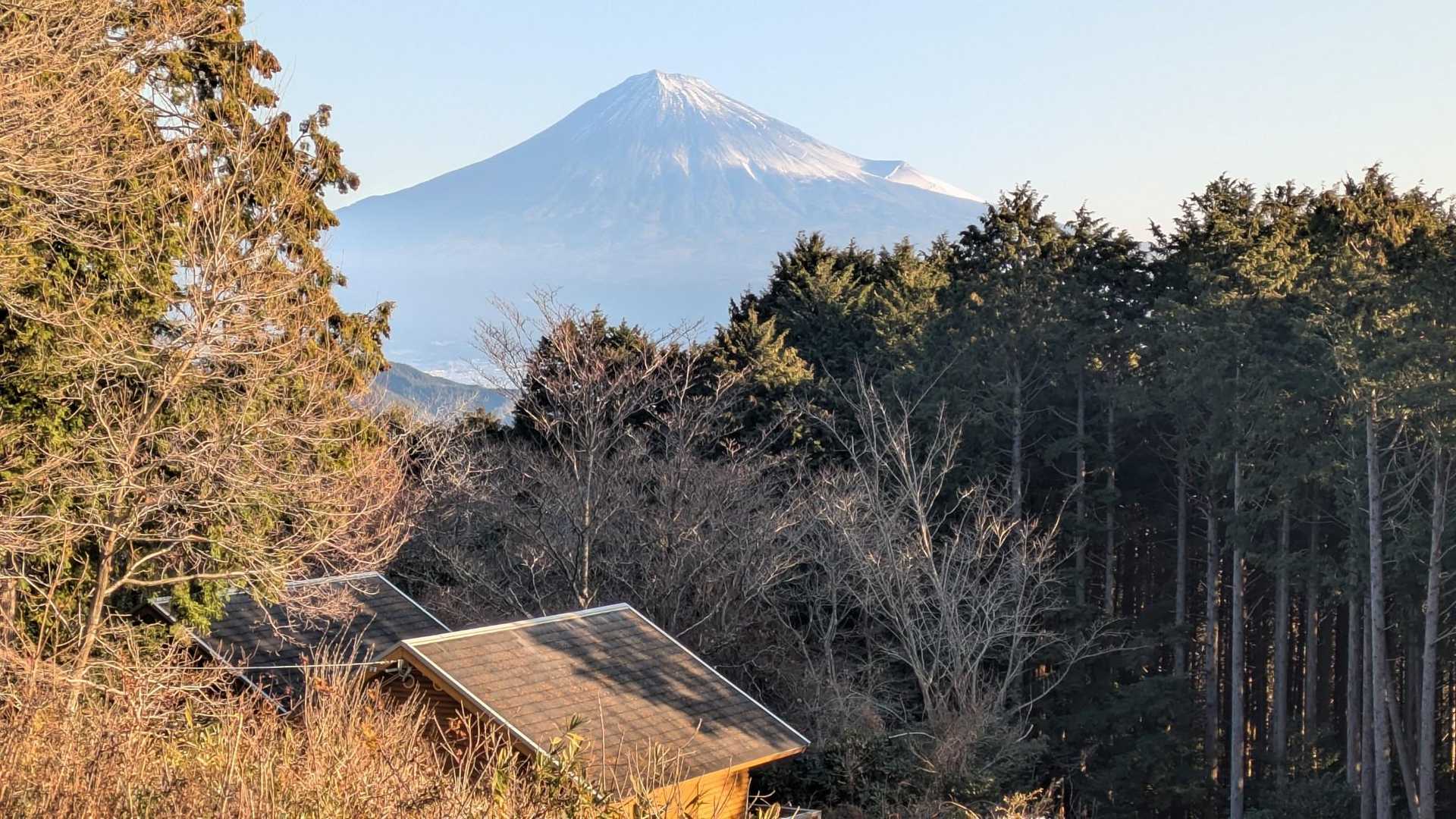 キャンプ場にはアスレチック施設がありました。展望台は登れないので回らなくても大丈夫、