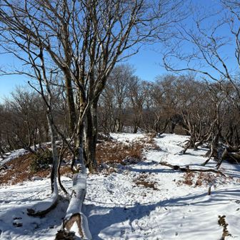 山頂からの景色❄️