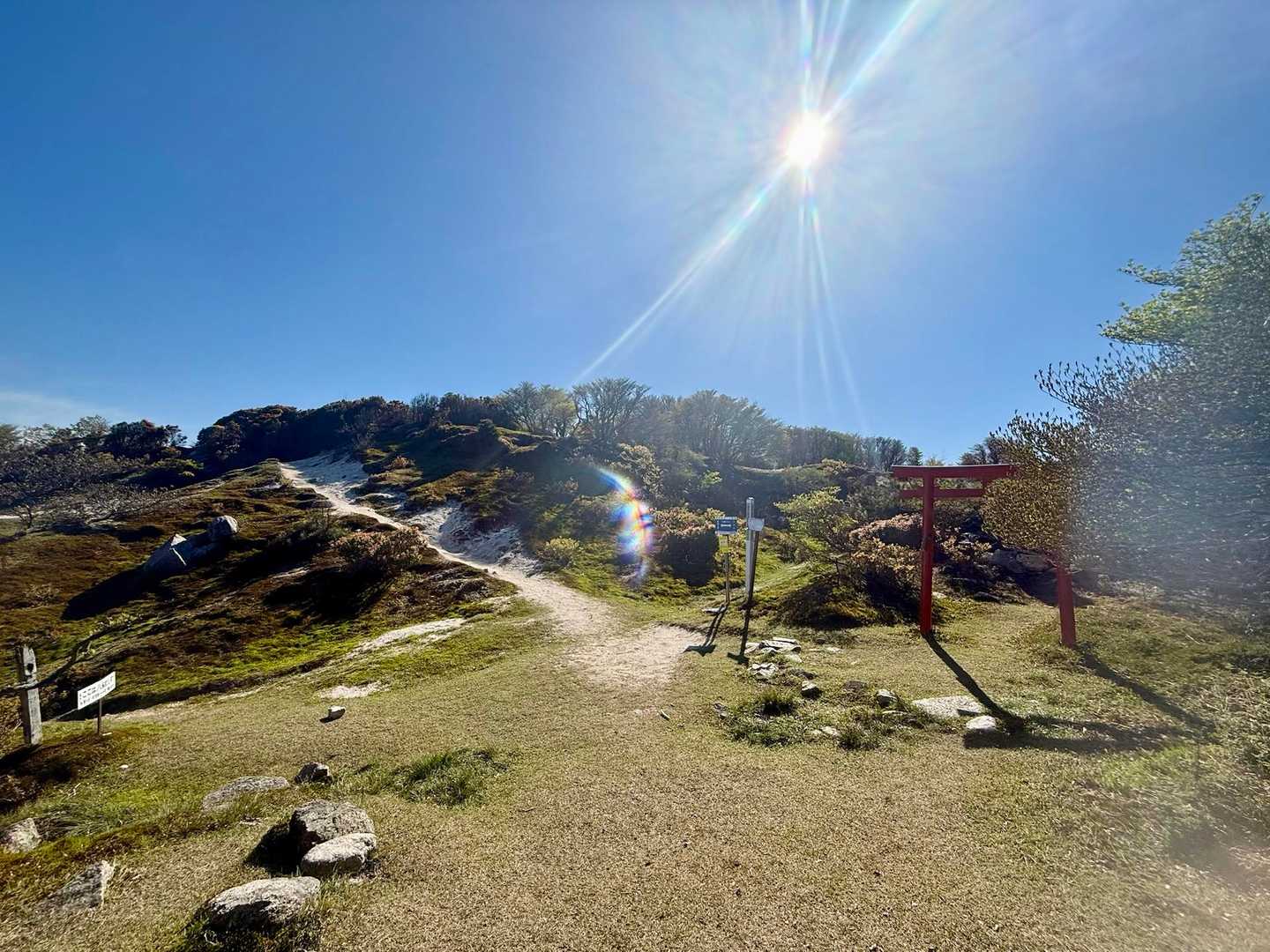 尾根道進むと広場的な⛩️あるとこに✨