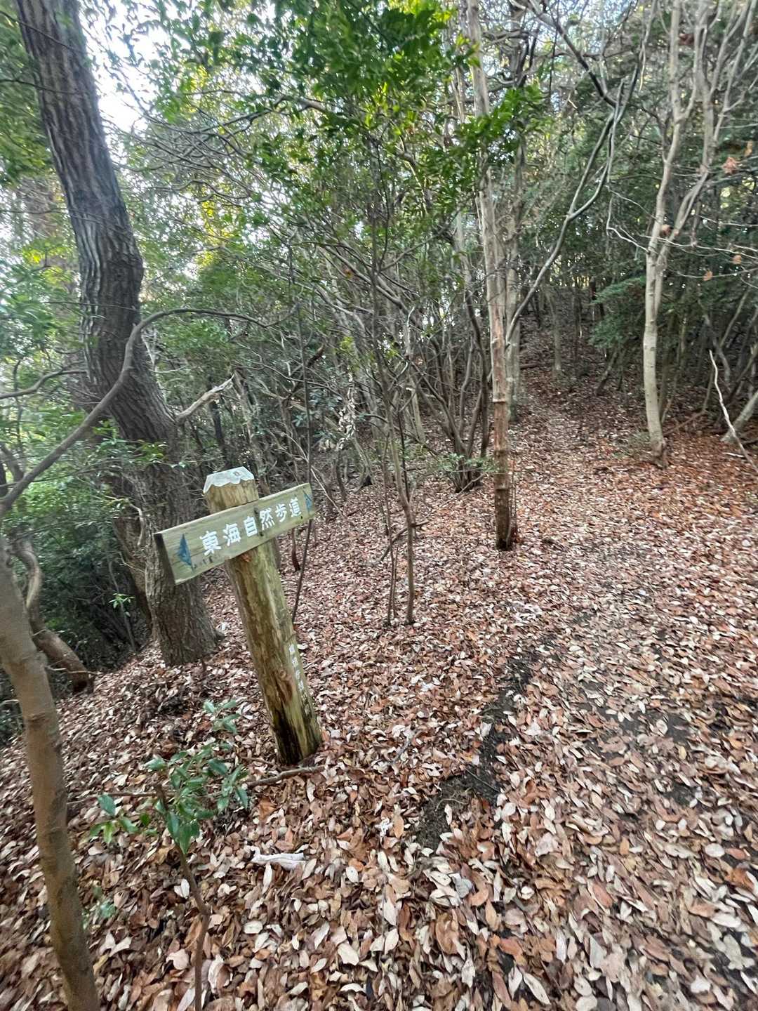 この登山道は東海自然歩道の一部。