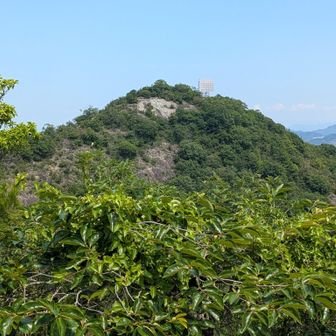 後ほど登る飯盛山が見えました