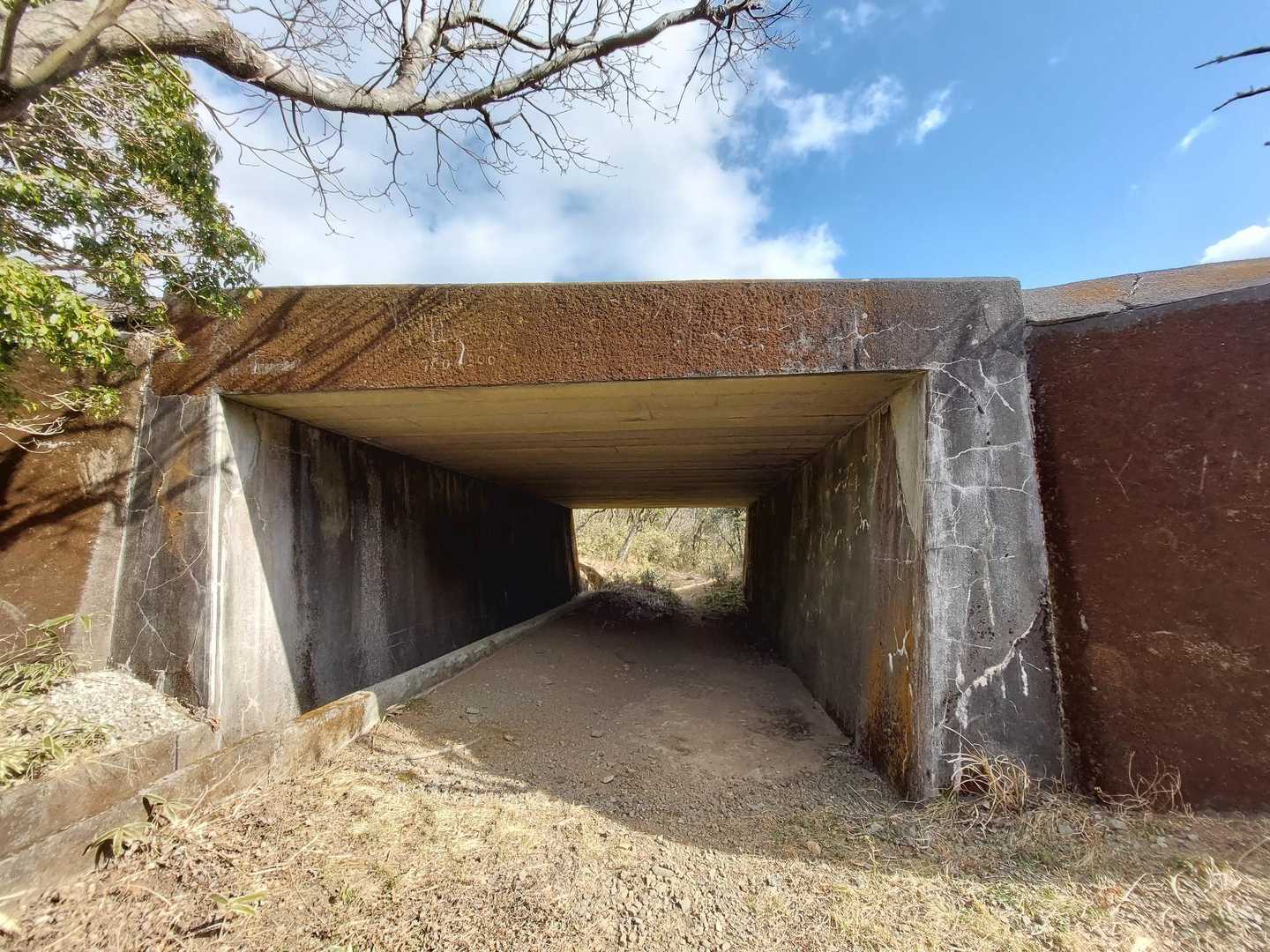 トンネル３つくぐって駐車場に戻りました～

軽いお山だったけど、とても素晴らしい展望のお山でした✨