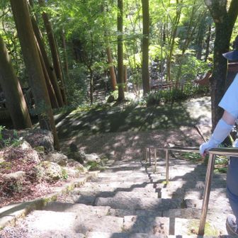 階段嫌だなぁって左の道へ
