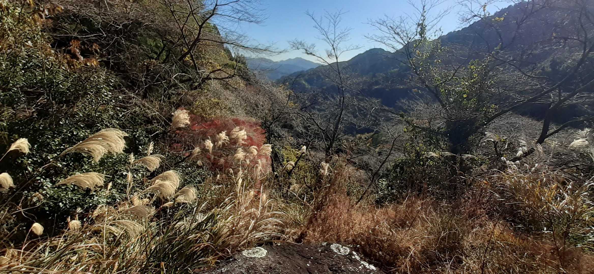 正面に高草山
((厂・.・)