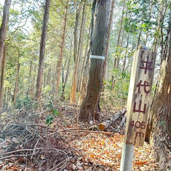 最後の平代山は眺望なしでした