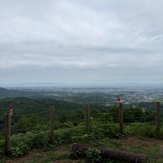 曇っていて、気温そんなに高くなくて快適ですが、湿度が高いっ💦
そして、虫が多い🐝🦟😰