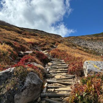 空に惹かれて足を進める