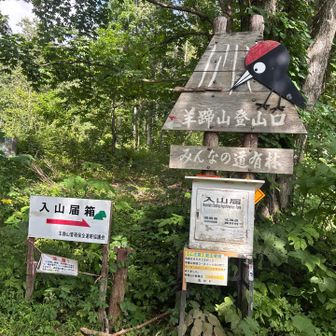 無事下山👍