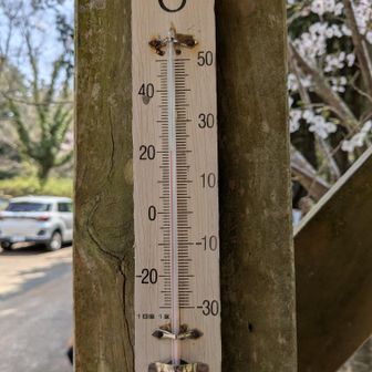 20℃と初夏の気温です🌞